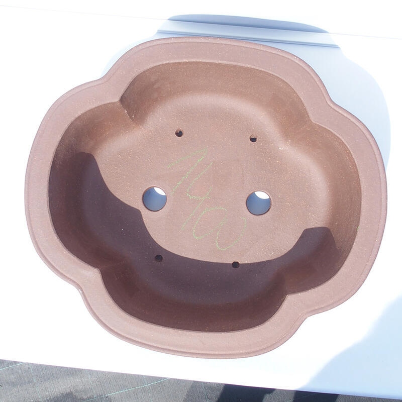 Bonsai-Schale 44 x 39 x 14 cm