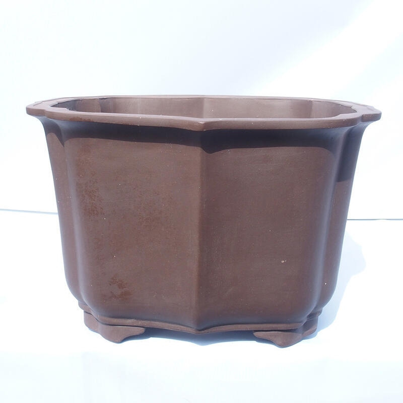 Bonsai-Schale 47 x 42 x 31 cm