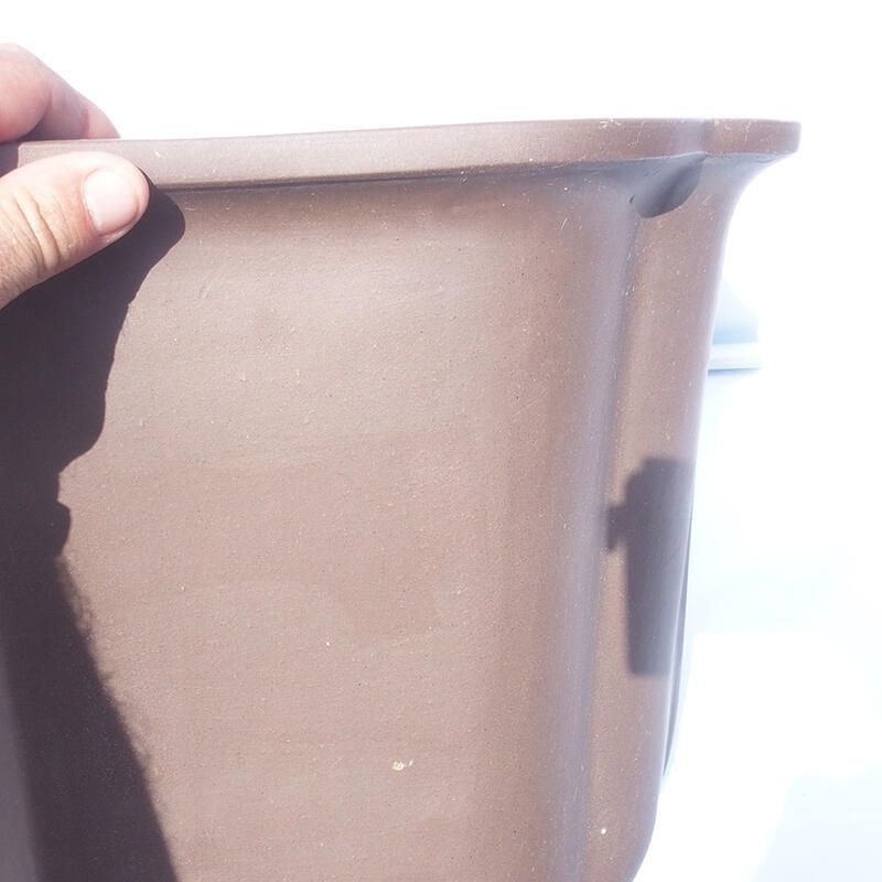 Bonsai-Schale 47 x 42 x 31 cm