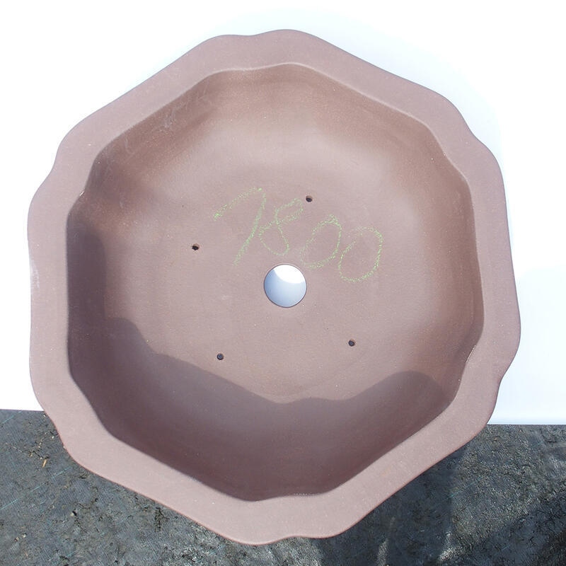 Bonsai-Schale 50 x 50 x 14 cm