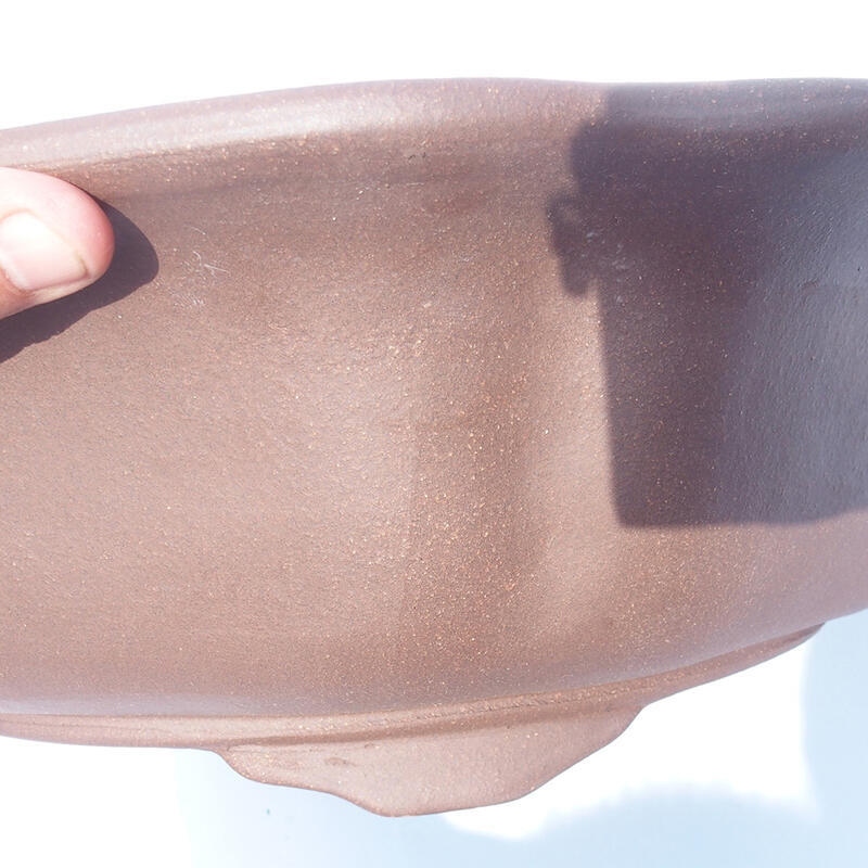 Bonsai-Schale 50 x 50 x 14 cm