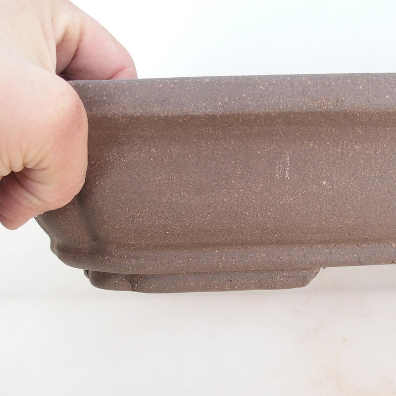 Bonsaischale 51 x 33,5 x 8 cm, naturfarben