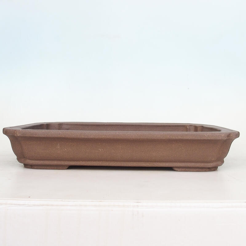 Bonsaischale 51 x 33,5 x 8 cm, naturfarben