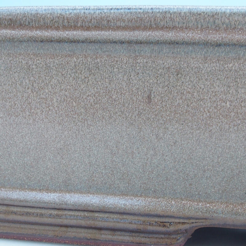 Bonsaischale 51 x 34 x 10,5 cm, Farbe beige - nur Palettentransport