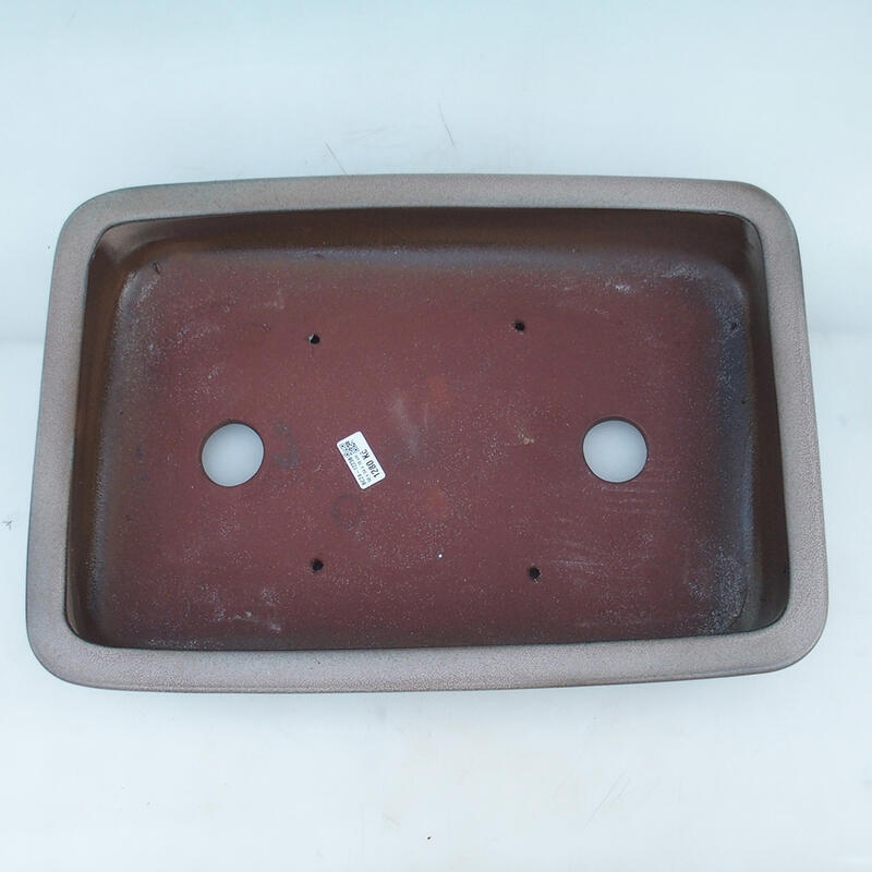 Bonsaischale 51 x 34 x 10,5 cm, Farbe beige - nur Palettentransport