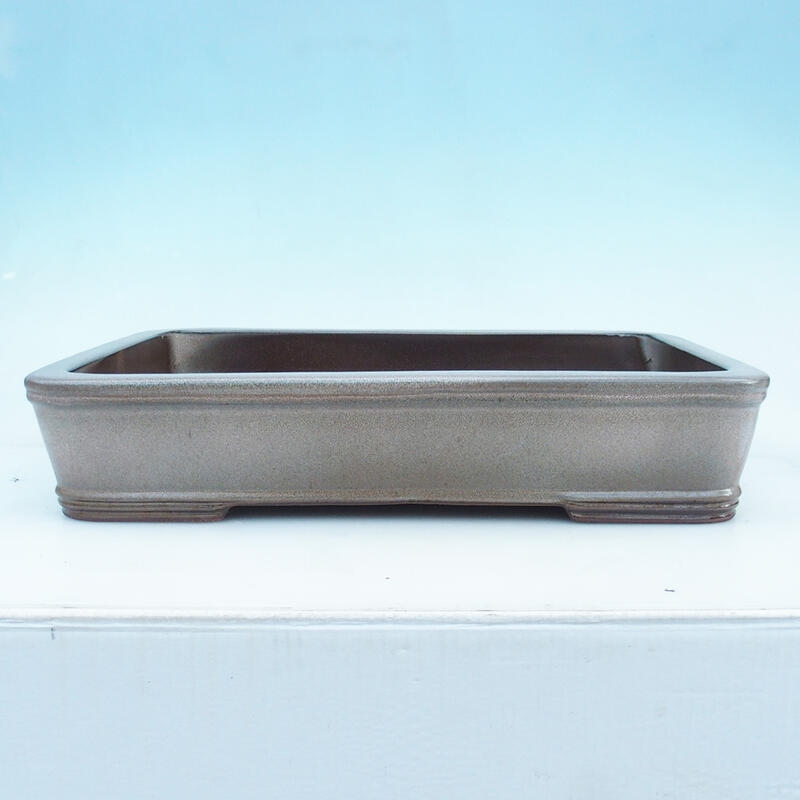 Bonsaischale 51 x 34 x 10,5 cm, Farbe beige - nur Palettentransport