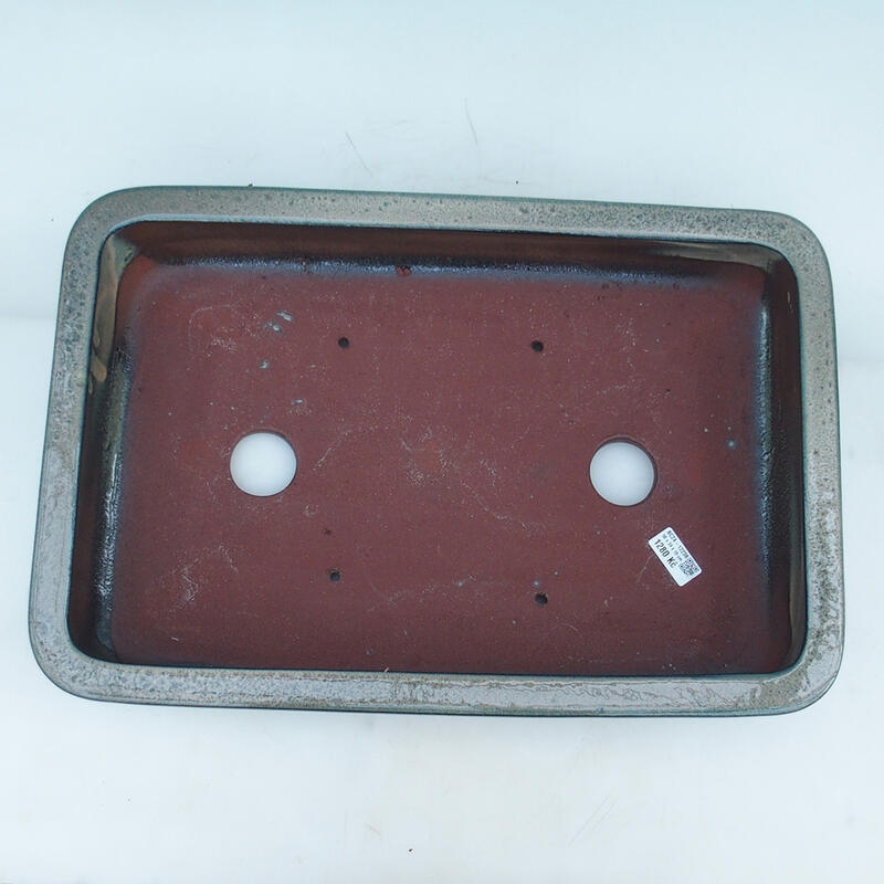 Bonsaischale 51 x 34 x 10,5 cm, beige-grün - nur Palettentransport