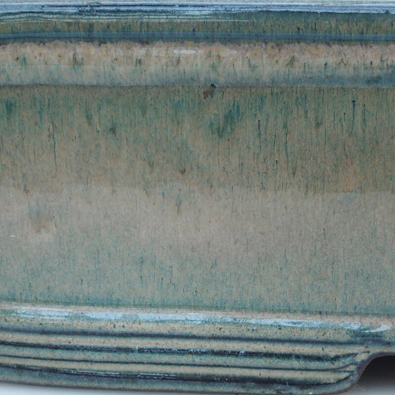 Bonsaischale 51 x 34 x 10,5 cm, beige-grün - nur Palettentransport