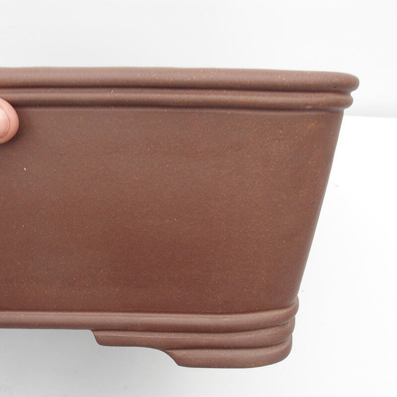 Bonsaischale 52 x 16 x 19 cm - japanische Qualität