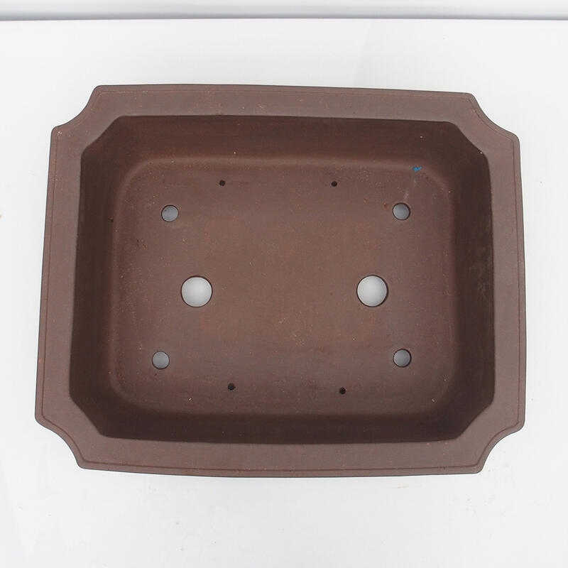 Bonsaischale 52 x 43 x 13 cm - Japanische Qualität