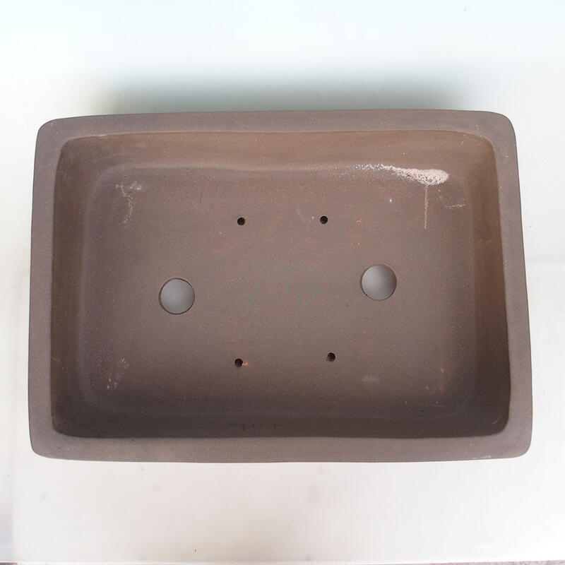 Bonsaischale 60 x 43 x 13 cm, naturfarben