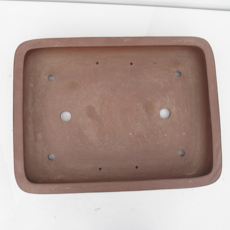 Bonsaischale 60 x 45 x 12 cm - japanische Qualität