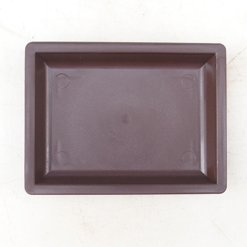 Kunststoff-Bonsai-Schale PP-3 - 11 x 8 x 1,5 cm