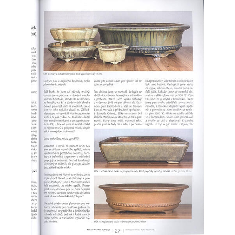 Bonsai und japanische Gärten Nr.63