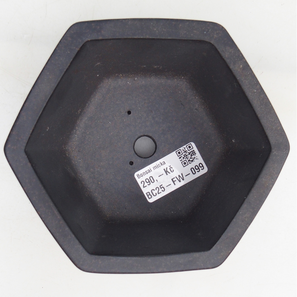 Bonsaischale aus Keramik 13 x 12 x 7 cm, Farbe bräunlich ocker