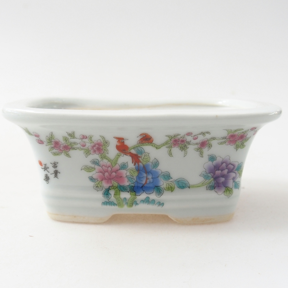 Mini-Bonsaischale 10 x 7,5 x 4 cm, Farbe weiß