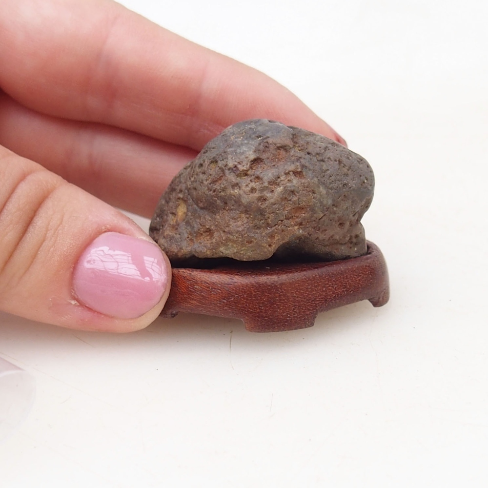 Suiseki - Stein mit DAI (Holzsockel)