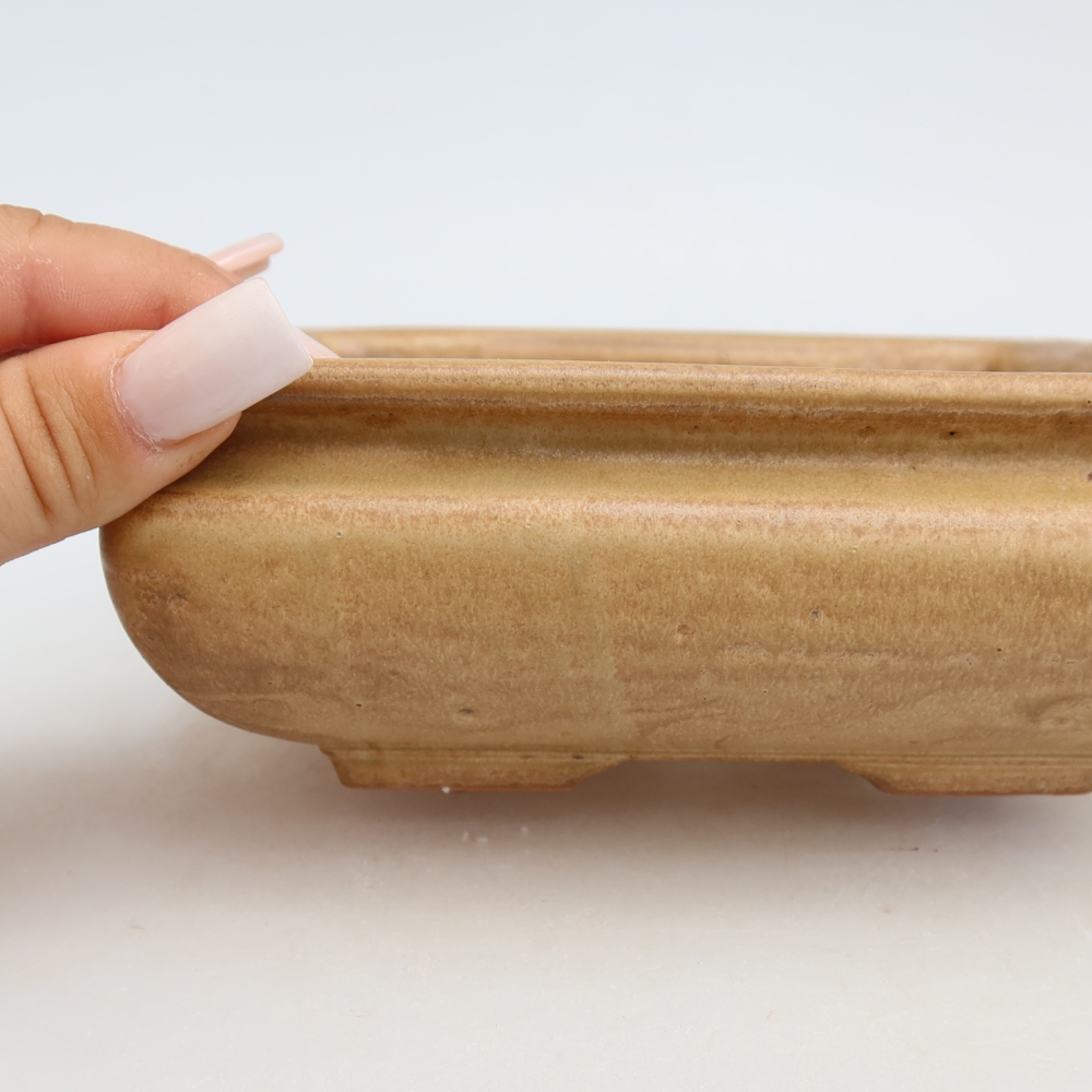 Keramik-Bonsai-Schale, 15,5 x 15,5 x 6 cm, Farbe: Beige
