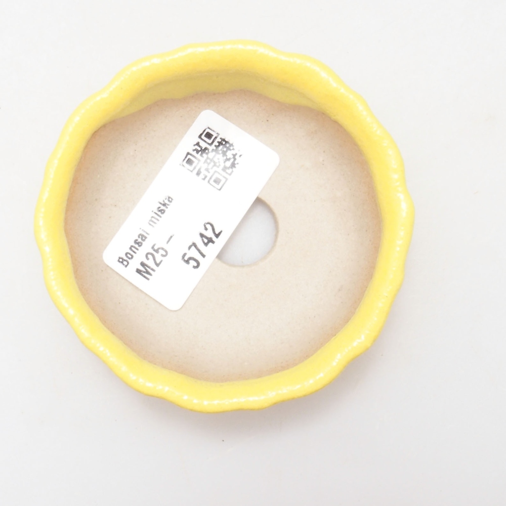 Bonsaischale aus Keramik 7 x 7 x 2 cm, gelb