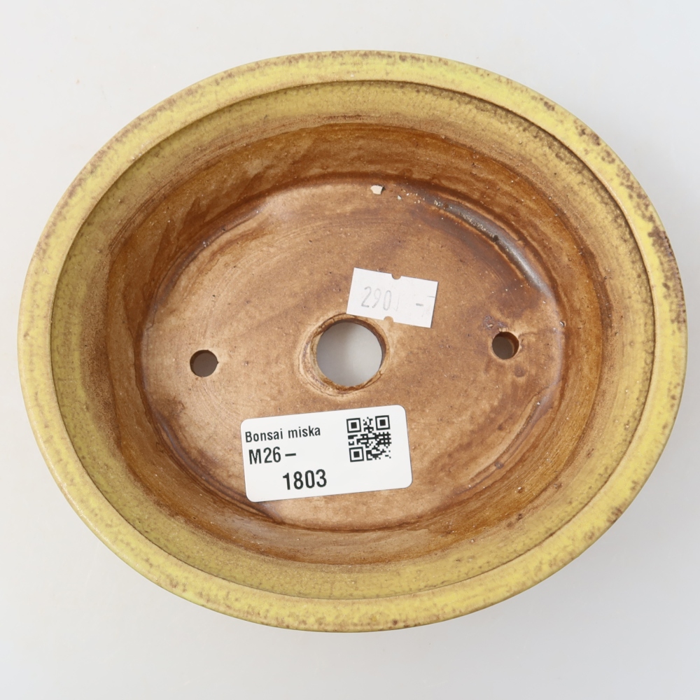 Keramik-Bonsai-Schale, 14,5 × 12,5 × 4 cm, Farbe: Gelb