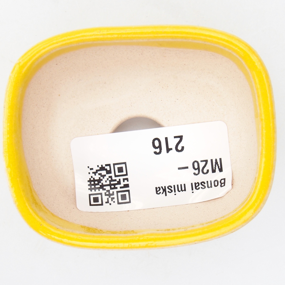 Mini-Bonsaischale 6 x 5 x 2,5 cm, gelb