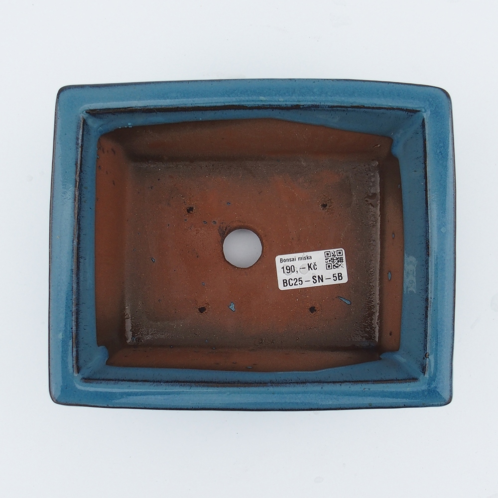 Schale 20 x 16,5 x 8 cm blau