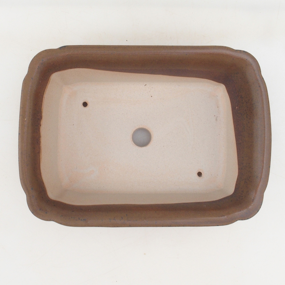 Bonsaischale H50 - 17 x 12,5 x 5,5 cm - braun