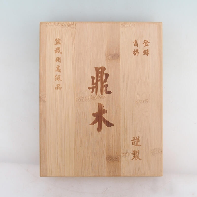 Meißel in Bambusbox - 5 Stück