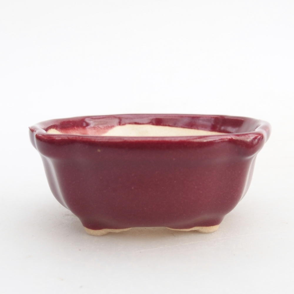 Mini-Bonsaischale 6,5 x 6,5 x 3 cm, bordeauxrot