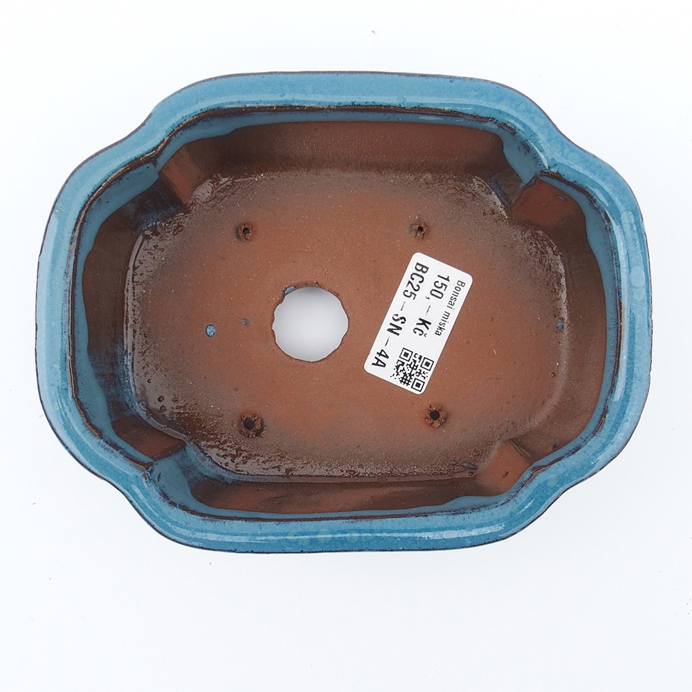 Schale 16 x 13 x 5,5 cm Farbe blau