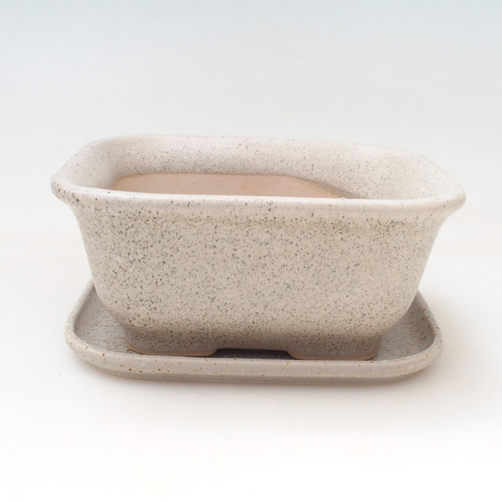 Bonsaischale + Untertasse H38 - 12x10x5,5 cm - beige