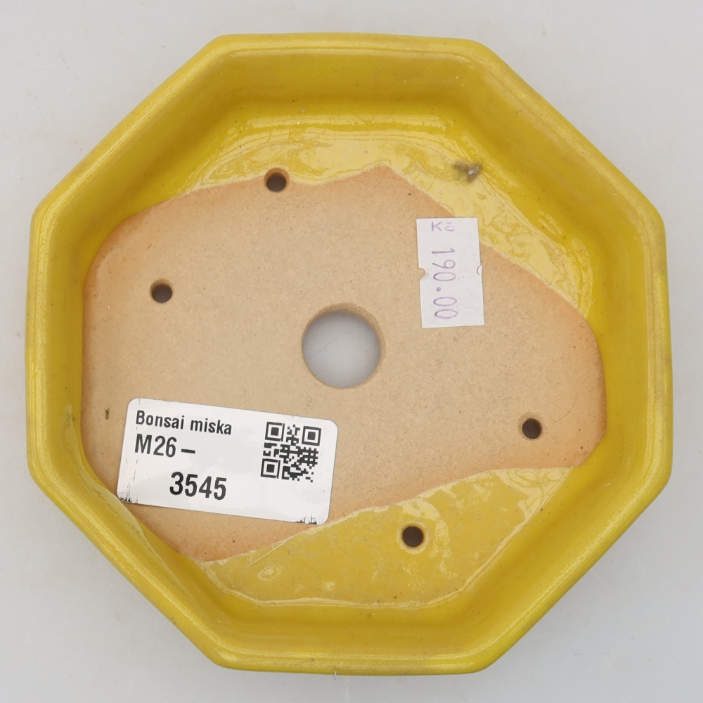 Keramik-Bonsai-Schale 11,5 × 11,5 × 2,5 cm, Farbe: gelb