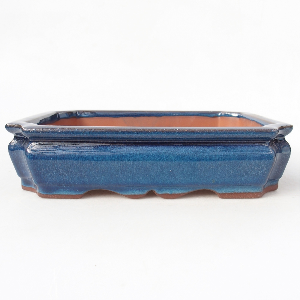 Schale 21,5 x 26,5 x 4 cm Farbe blau