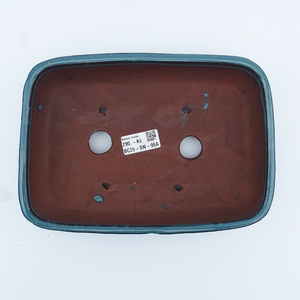 Schale 25 x 18 x 6 cm blau