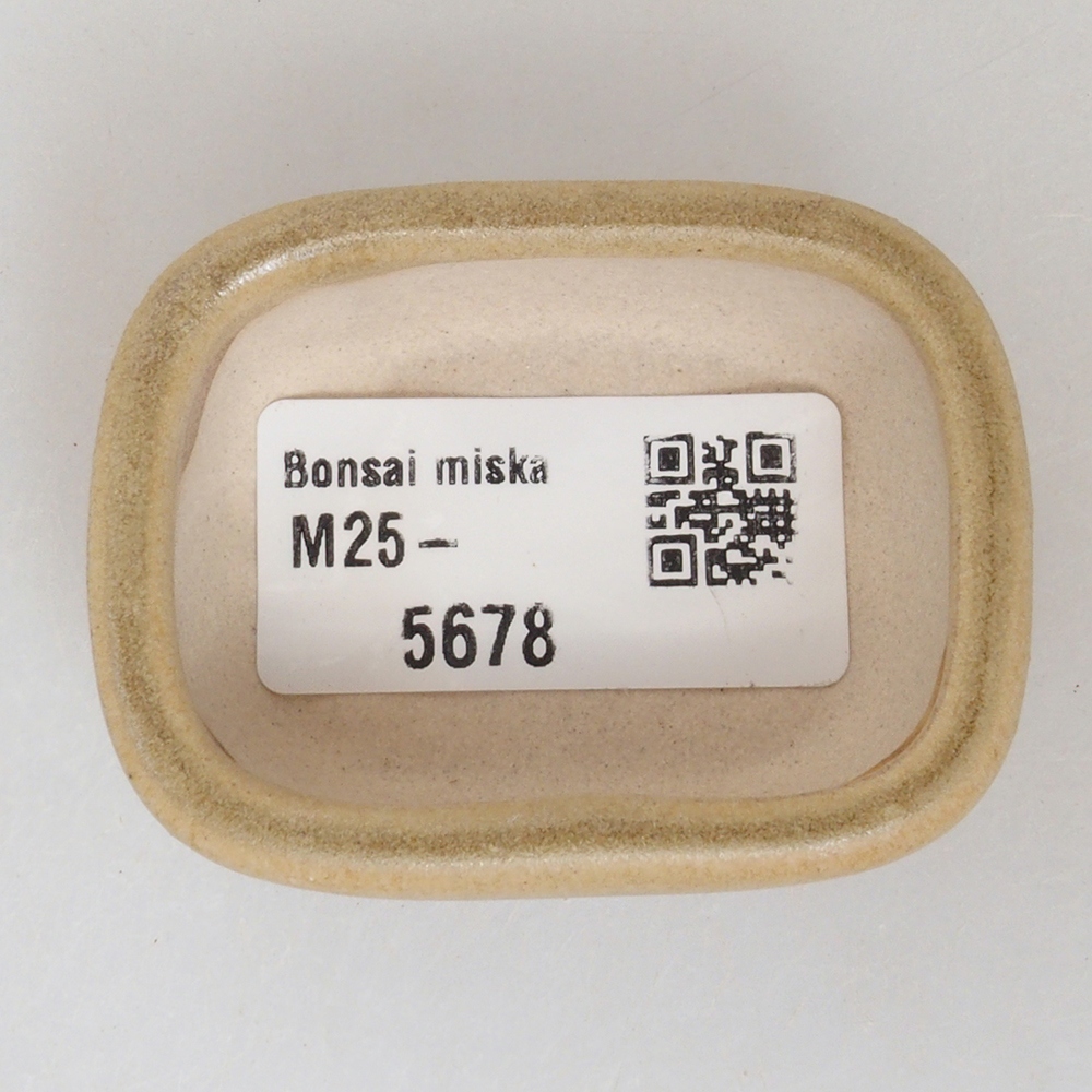Mini-Bonsaischale 5,5 x 4 x 2 cm, braun