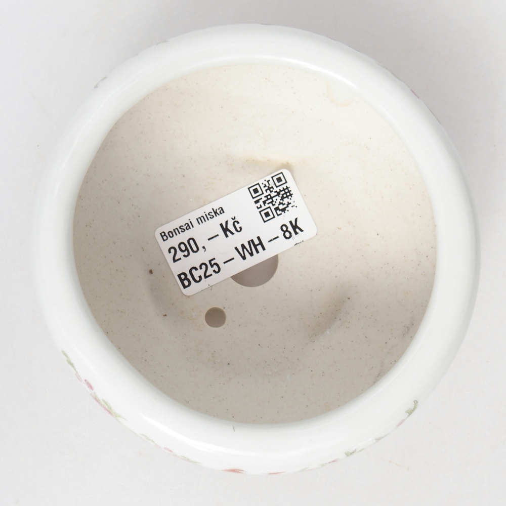 Bonsaischale aus Keramik 10 x 10 x 5 cm, Farbe weiß