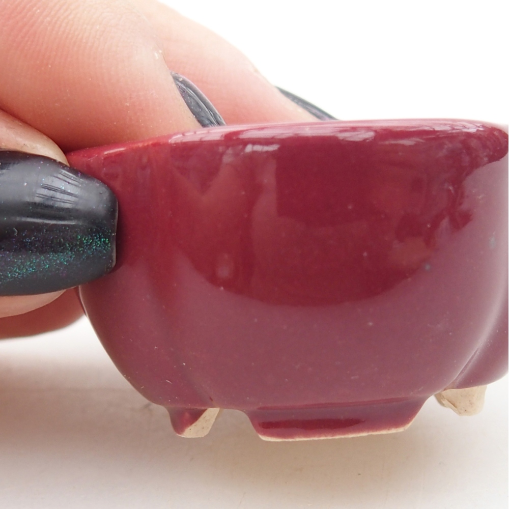 Mini-Bonsaischale 4 x 4 x 2 cm, bordeauxrot