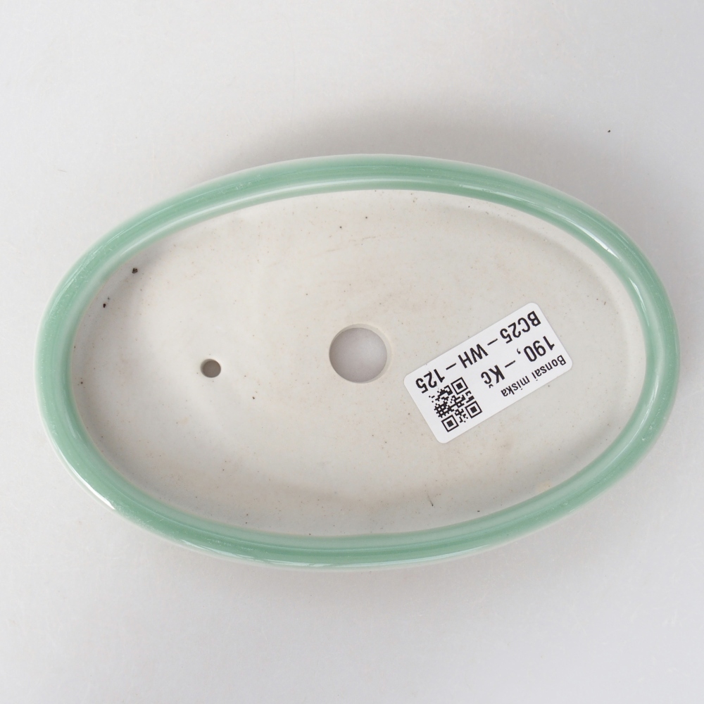 Bonsaischale aus Keramik 15,5 x 10 x 2 cm, grün