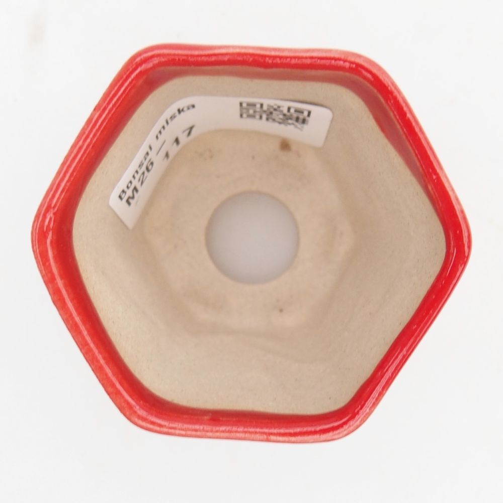 Mini-Bonsaischale 5,5 x 5 x 5 cm, Farbe rot