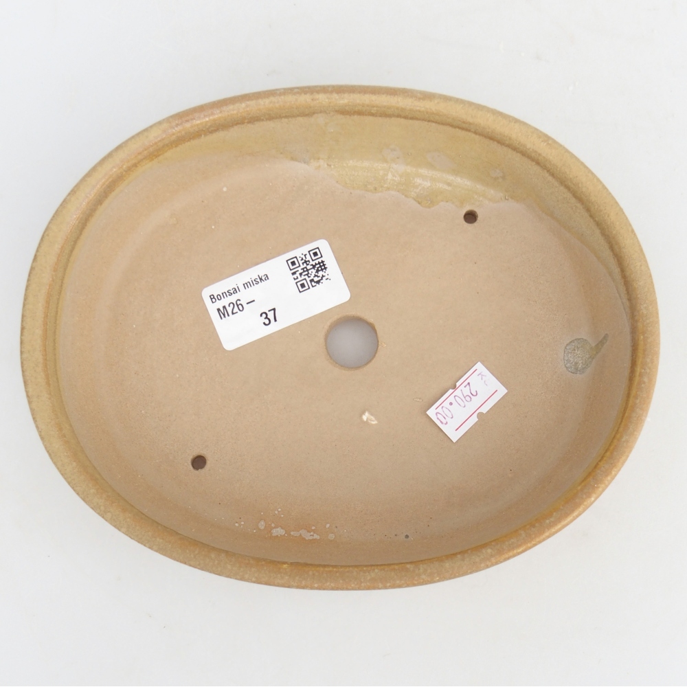 Bonsaischale aus Keramik 17 x 14 x 4 cm, Farbe beige