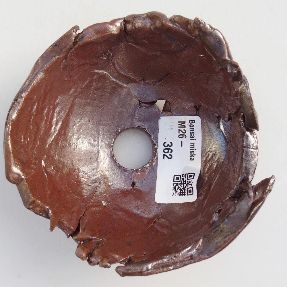 Keramische Muschel 10 x 10 x 6 cm , Farbe braun