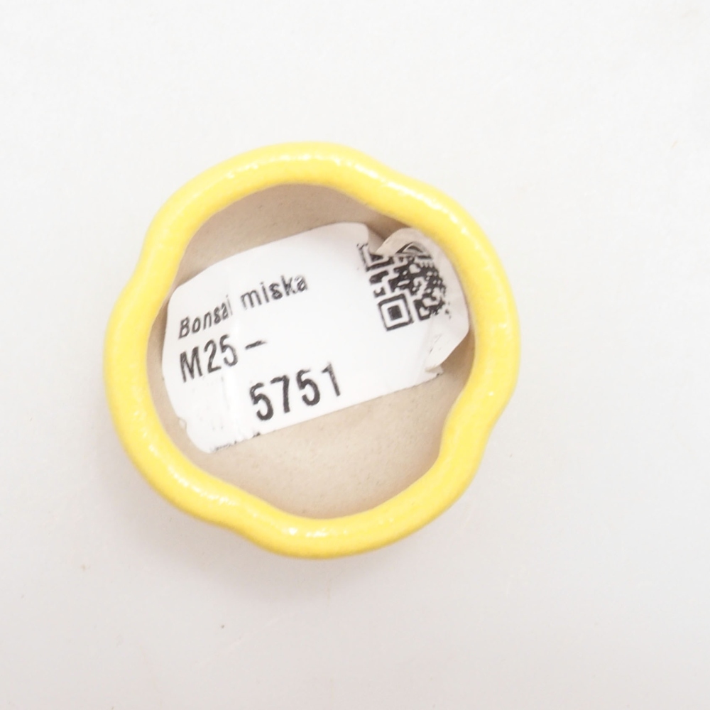 Bonsaischale aus Keramik 4 x 4 x 2 cm, gelb