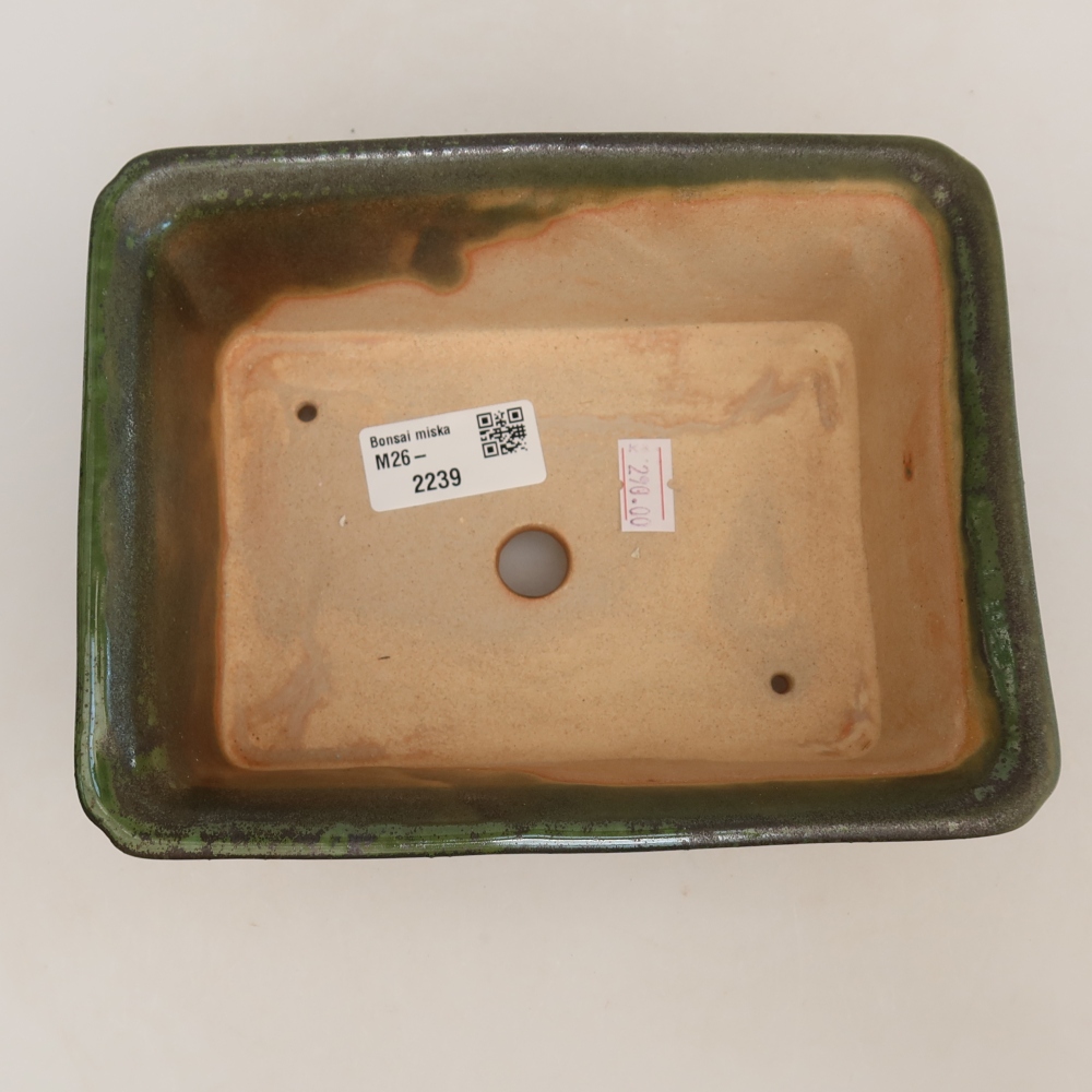 Keramik-Bonsai-Schale 18 x 14 x 7 cm, Farbe: grün