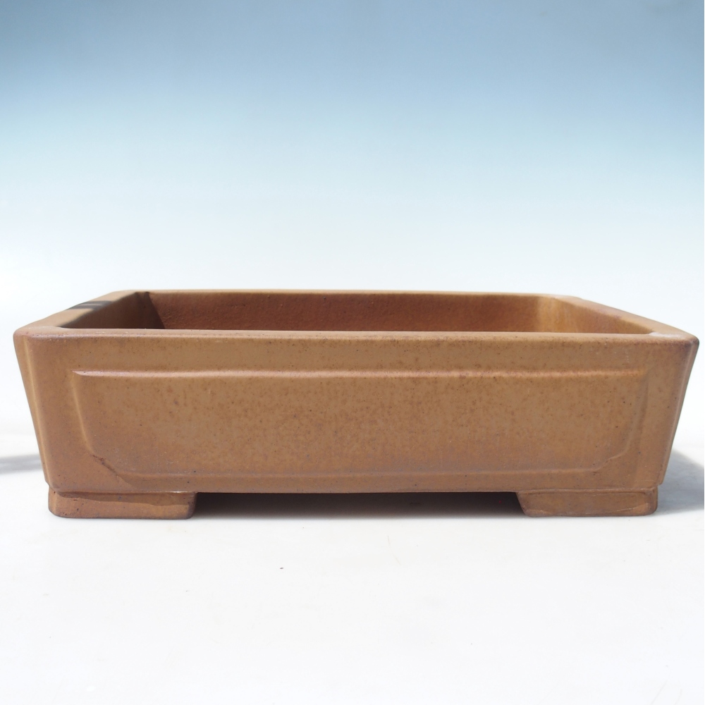 Schale 35 x 26 x 9 cm