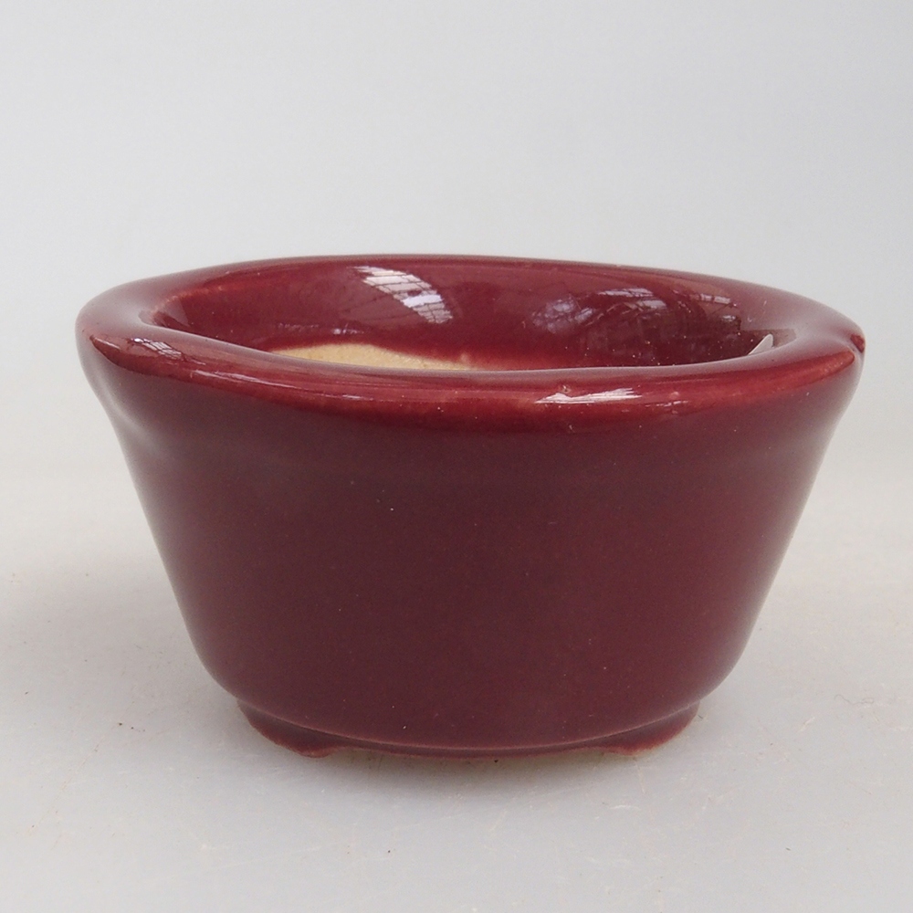 Mini-Bonsaischale 4 x 4 x 2 cm, bordeauxrot