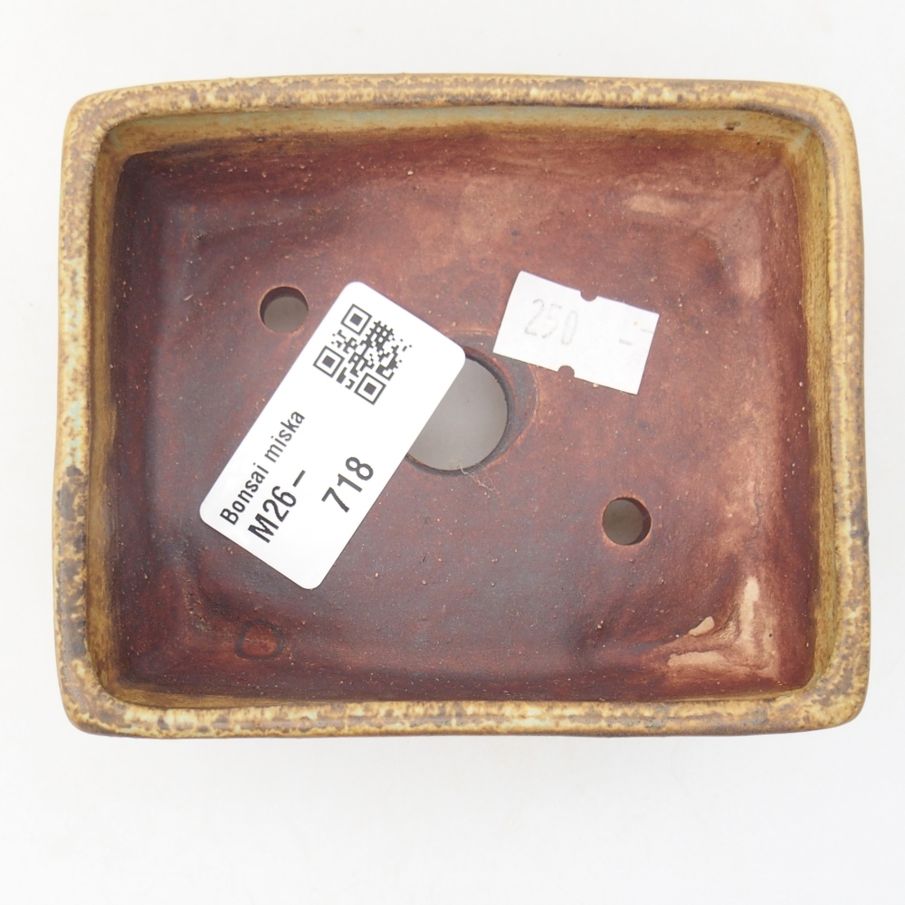 Bonsaischale aus Keramik 10 x 8 x 4 cm, grün