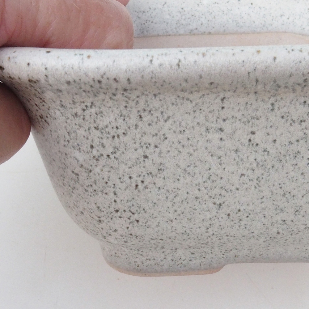 Bonsaischale H38 - 12 x 10 x 5,5 cm - beige