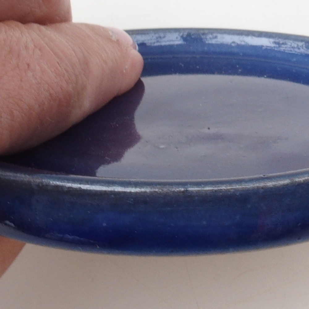 Rund Bonsai Container D6-S - 10 x 10 x 1 cm - blau