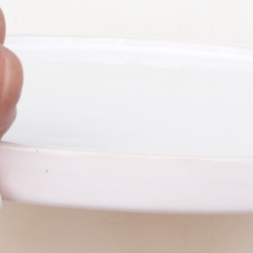 Rundes Bonsaigefäß D7-L - 28 x 28 x 1,5 cm - weiß