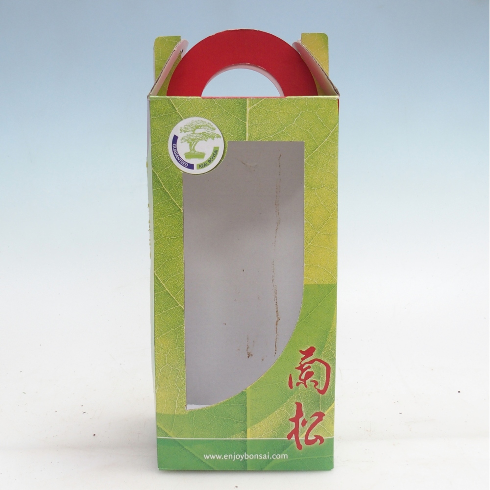 Geschenk-Bonsai-Box - Papier